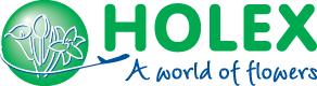 logo-holex
