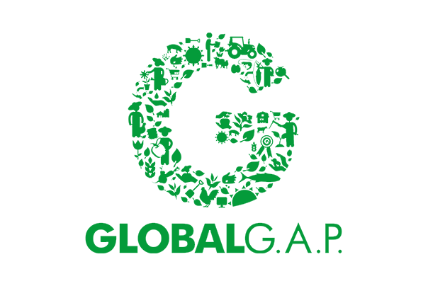 Certification Image